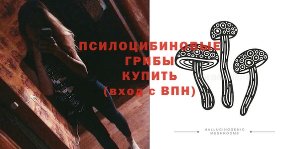 mdpv Ельня