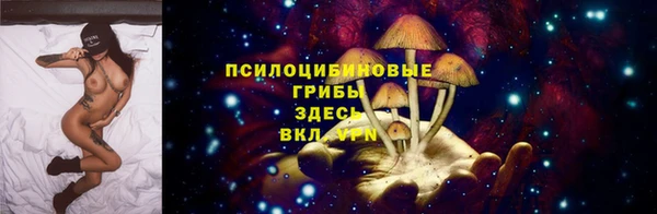 прущие крисы Елабуга