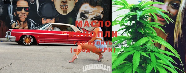 mdpv Ельня