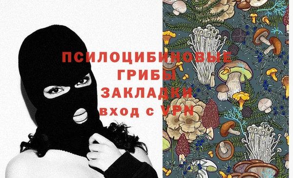 mdpv Ельня