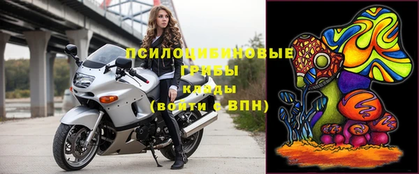 mdpv Ельня
