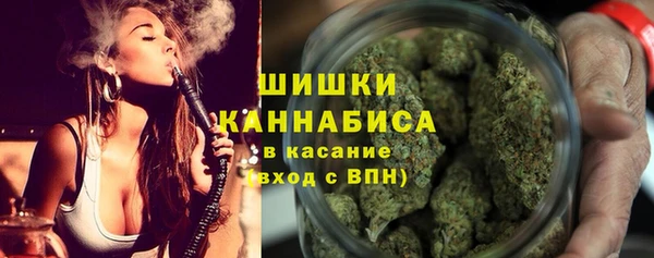 прущие крисы Елабуга