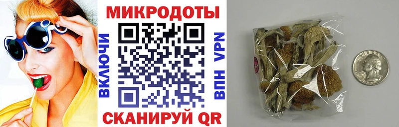 Купить где  Магас  Галлюциногенные грибы GOLDEN TEACHER 