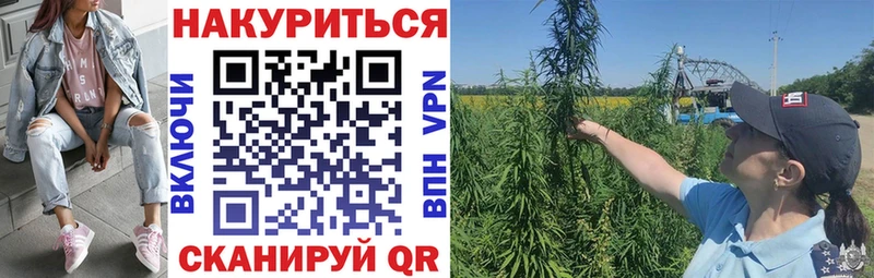 Бошки марихуана OG Kush  Купить  Магас 